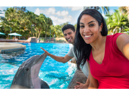 SeaWorld Orlando Dolphin Encounter - ADD-ON